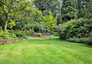 Optimiser l'expérience du jardin à Biesheim